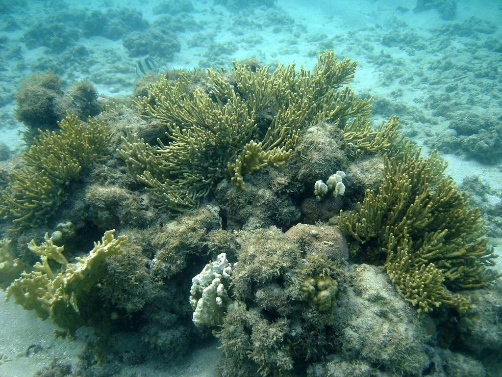 Pousada Mariluz Maragogi Luaran gambar